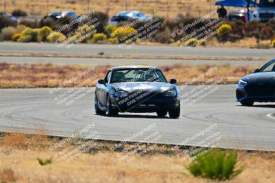 media/Nov-16-2024-Extreme Speed (Sat) [[6587d07cc4]]/Gold Group/Session 2 (Turns 3 and 5)/